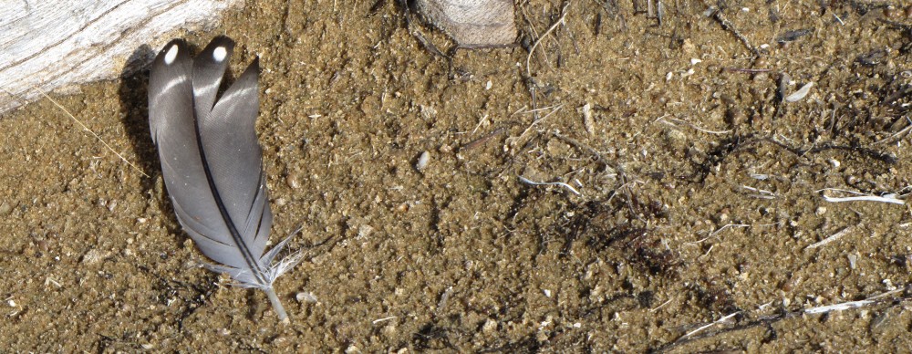 Once Upon A Michigan